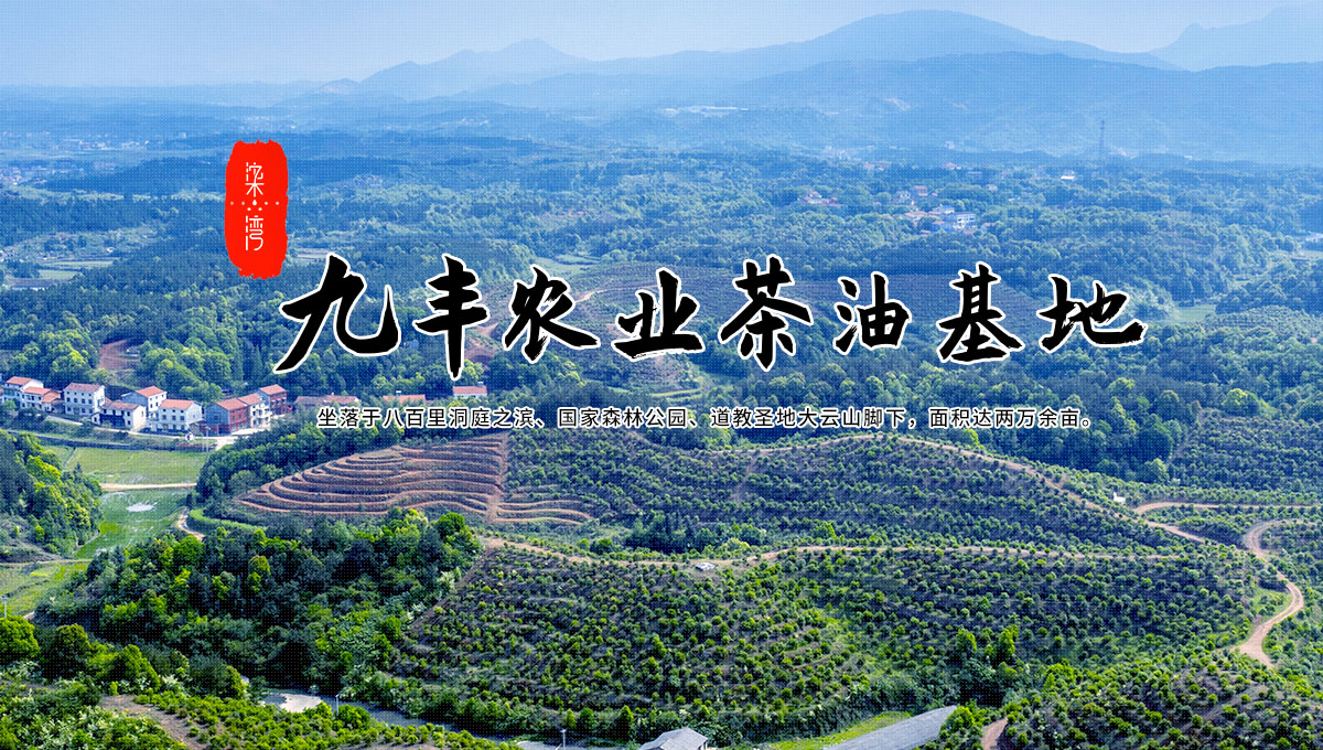 开云体育下载apk