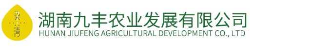 开云体育下载apk