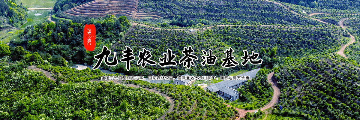 开云体育下载apk