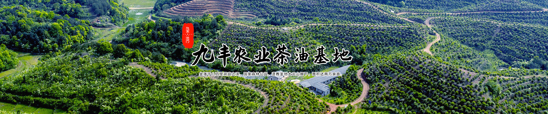 开云体育下载apk