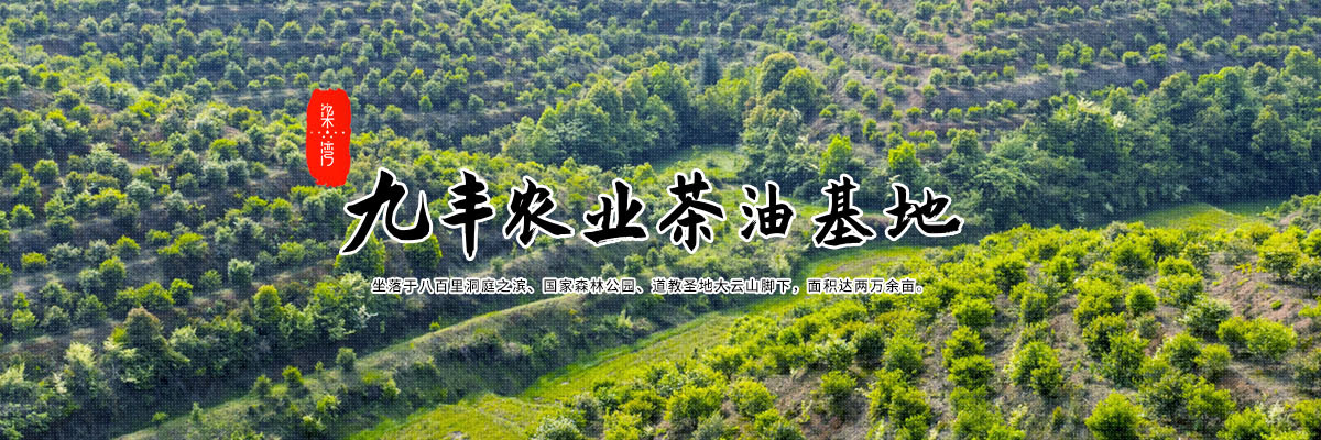 开云体育下载无法打开