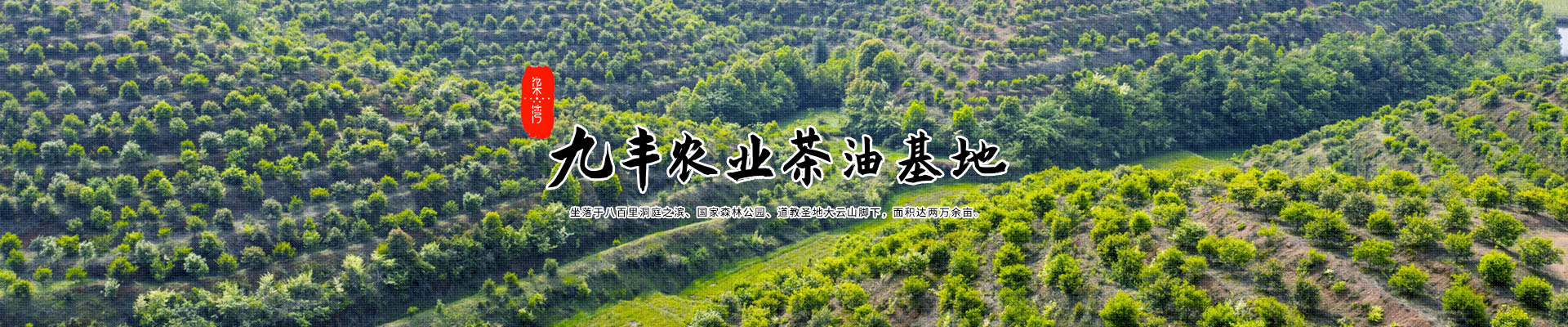 开云体育下载无法打开