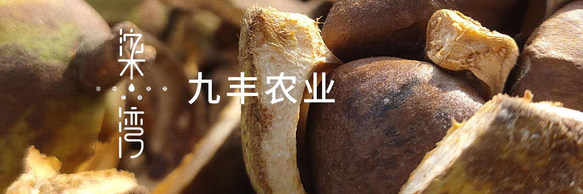 开云体育下载地址