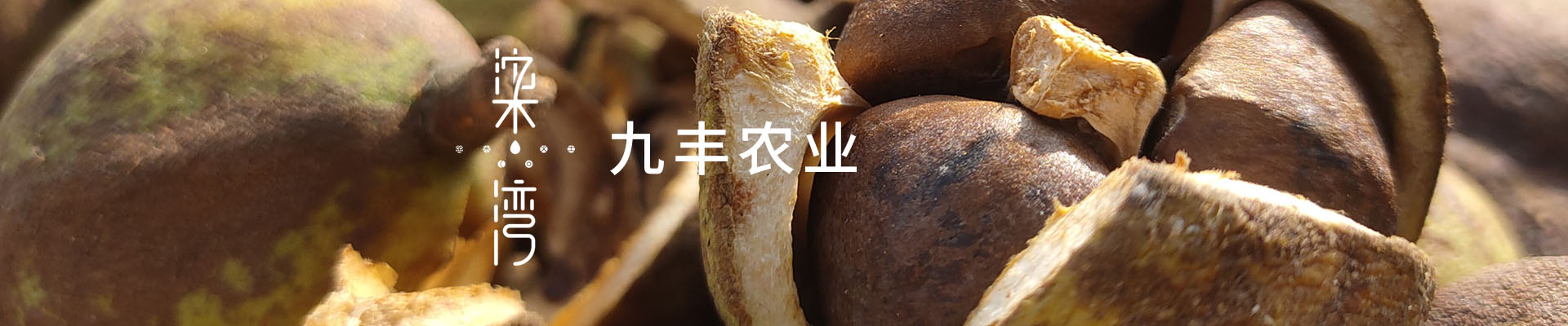 开云体育下载地址